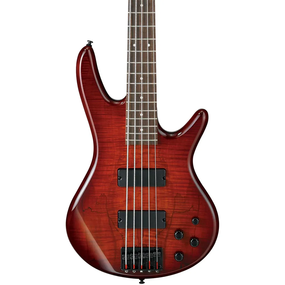 Ibanez GSR205 5 String